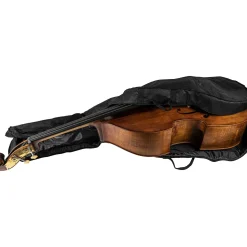Scherl and Roth SR68 Sarabande Series Intermediate Double Bass Outfit with German Bow 3/4