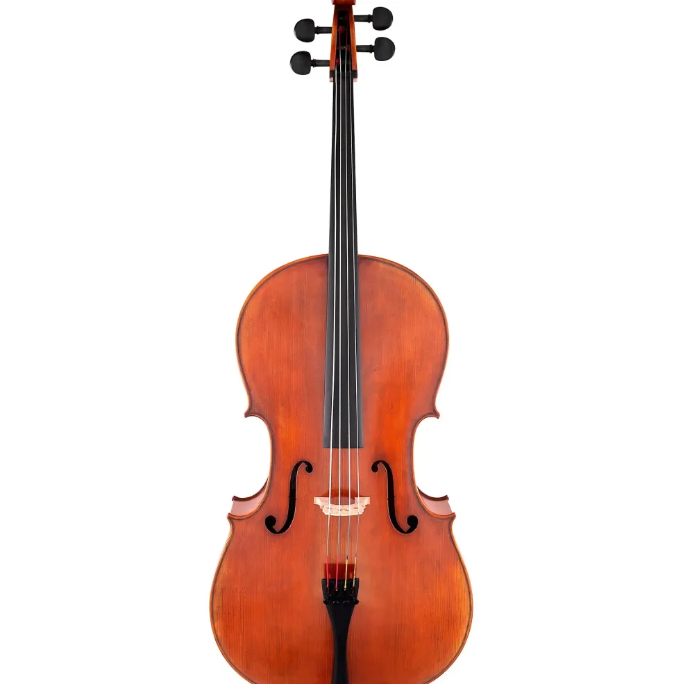 Scherl and Roth SR85 Stradivarius Series Professional Cello Outfit 4/4
