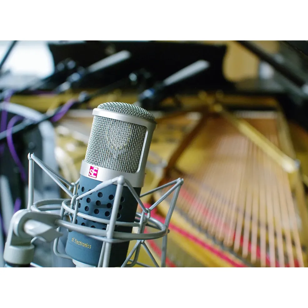 sE Electronics Gemini II Dual Valve Tube Microphone
