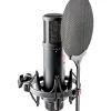sE Electronics sE2200 Large-Diaphragm Condenser Microphone