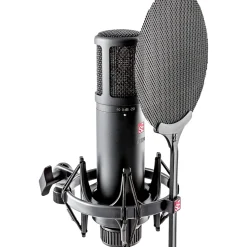 sE Electronics sE2200 Large-Diaphragm Condenser Microphone