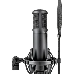 sE Electronics sE2200 Large-Diaphragm Condenser Microphone