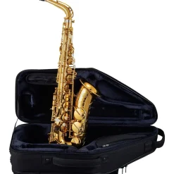 Selmer Paris Signature Series Lacquer Alto Saxophone Gold Lacquer