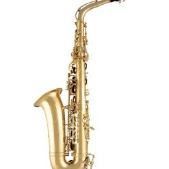 Selmer SAS711 Professional Alto Saxophone Lacquer
