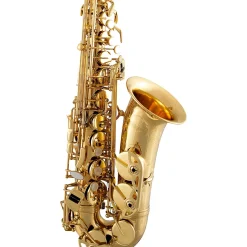 Selmer SAS711 Professional Alto Saxophone Lacquer