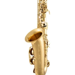 Selmer SAS711 Professional Alto Saxophone Lacquer