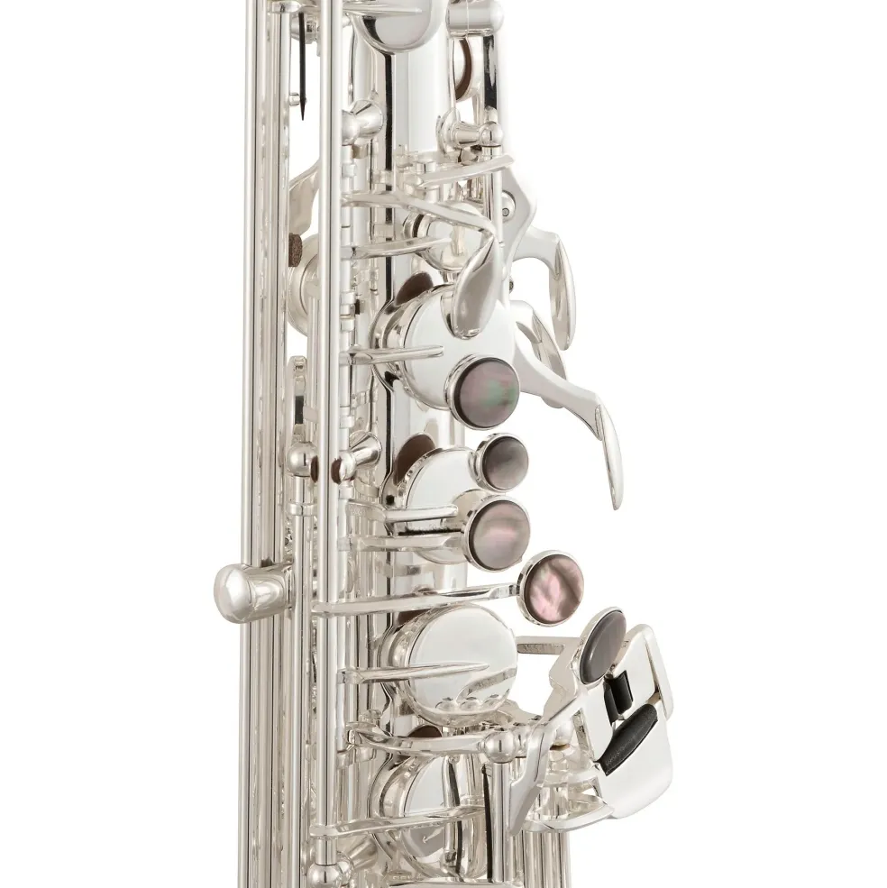 Selmer Selmer Alto Saxophone, Lacquer Finish, Lightweight Case, Selmer R402 Mouthpiece Silver Plated Silver Keys