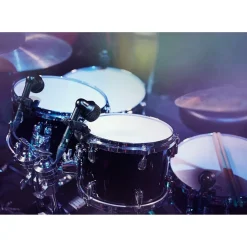 Shure Nexadyne Tom Mic, XLR, Black Black