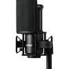 Shure SM4 Dual-Diaphragm Condenser Home Recording Microphone Kit