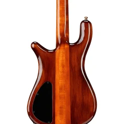 Spector NS2 Quilted Top/Fishman Electronics Tiger Eye