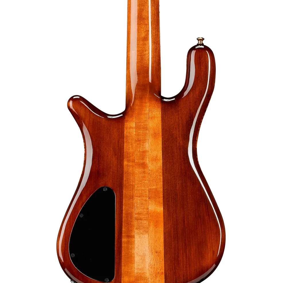 Spector NS5 Quilted Top/Fishman Electronics Tiger Eye