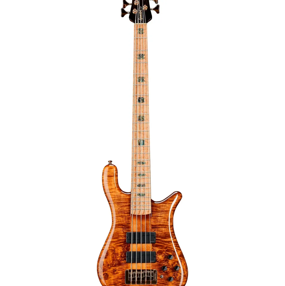Spector NS5 Quilted Top/Fishman Electronics Tiger Eye
