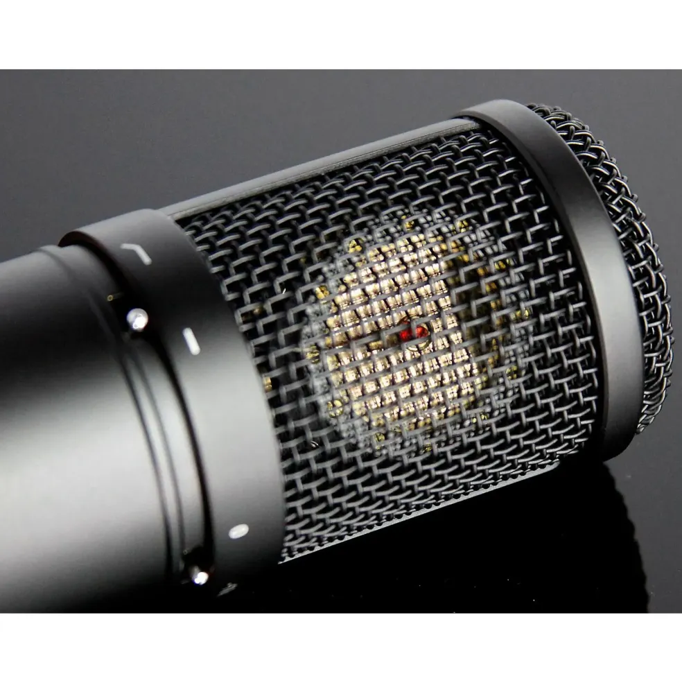 TASCAM TM-280 Large-Diaphragm Condenser Microphone