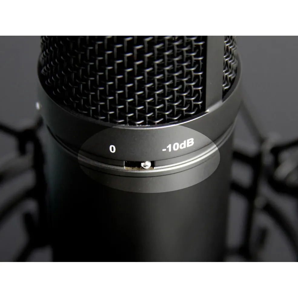 TASCAM TM-280 Large-Diaphragm Condenser Microphone