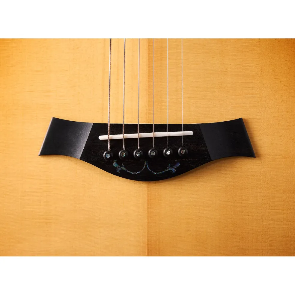 Taylor PS14c Brazilian Rosewood 50th Anniversary Limited-Edition Grand Auditorium Acoustic-Electric Guitar with matching Circa 74 Amp Honey Sunburst