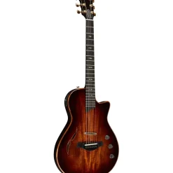Taylor T5z Custom Acoustic-Electric Guitar Shaded Edge Burst