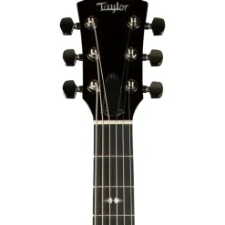 Taylor T5z Pro Acoustic-Electric Guitar Harbor Blue