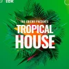 Tracktion Tropical House - Expansion Pack for BioTek 2