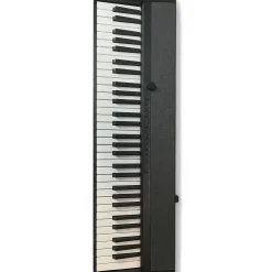 Used Casio Casiotone Portable Keyboard