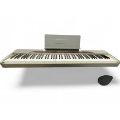 Used Casio SP30 PX110 / PX310 Sustain Pedal