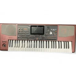 Used KORG Pa1000 Arranger Keyboard