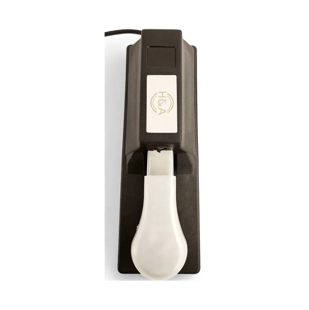 Used Miscellaneous H&A Sustain Pedal
