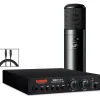 Warm Audio Recording Bundle With WA12-MKII Mic Pre, WA-8000 Condenser Microphone and Premier XLR 15' Mic Cable